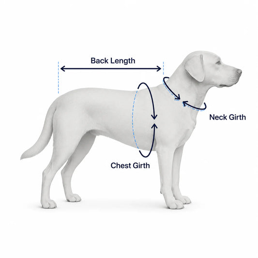 Dog Cooling Vest, Evaporative Mesh Fabric