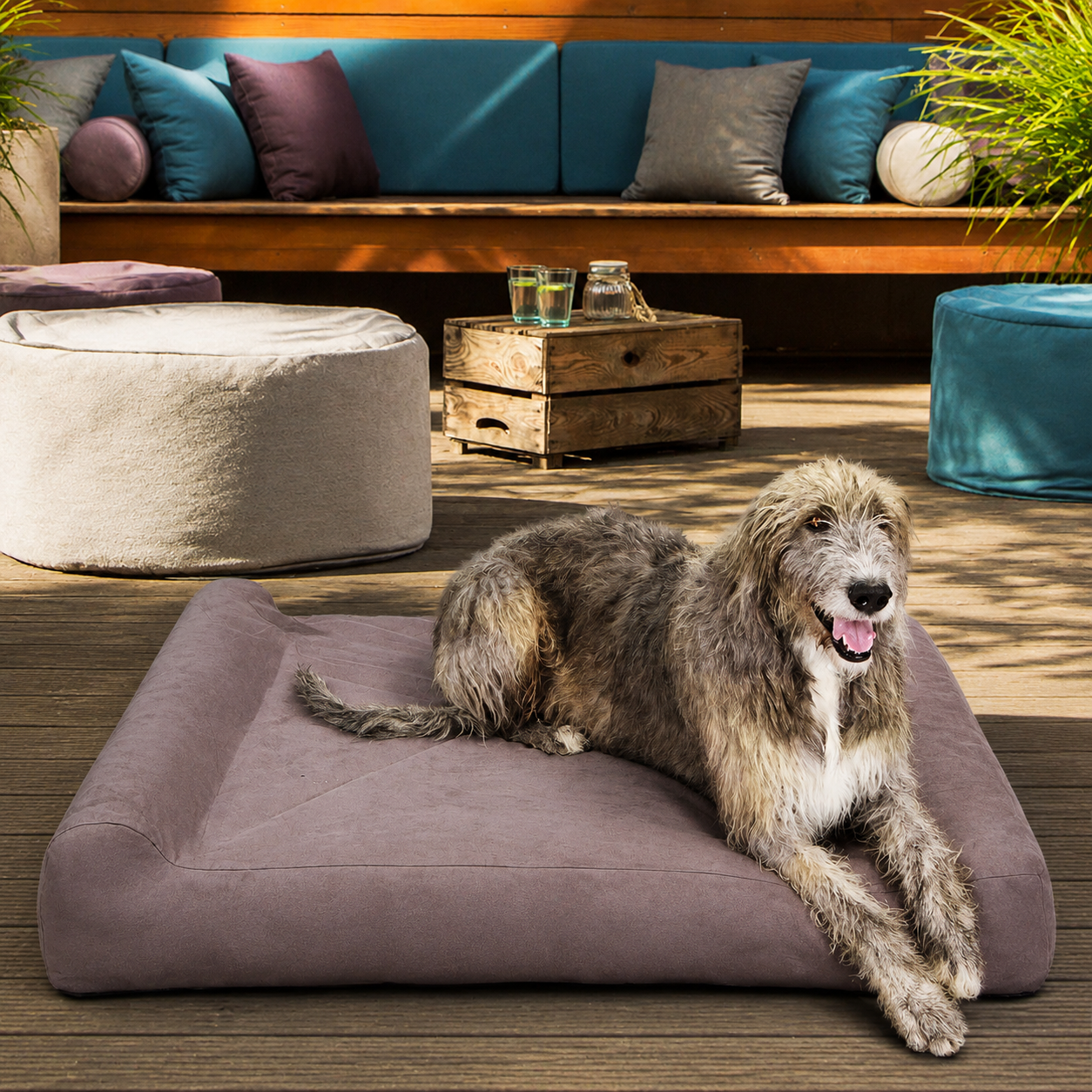Tailvia Orthopedic Dog Bed with Memory Foam, Large