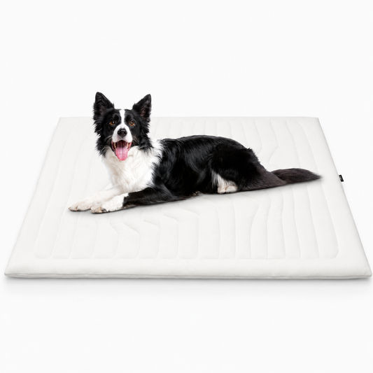 Cooling Dog Bed | Dog Cooling Mat with Japanese Arc-Chill Technology | Instant Relief for Overheating Pets